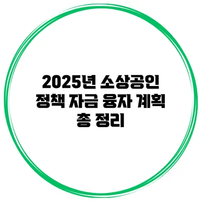 2025년 소상공인 정책 자금 융자 계획 총 정리