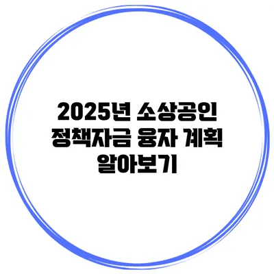 2025년 소상공인 정책자금 융자 계획 알아보기