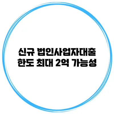 신규 법인사업자대출 한도 최대 2억 가능성