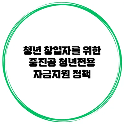 청년 창업자를 위한 중진공 청년전용 자금지원 정책