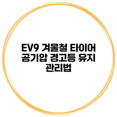 EV9 겨울철 타이어 공기압 경고등 유지 관리법